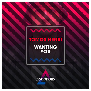Wanting You (Extended Mix)
