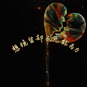 想挽留却无能为力（心碎的声音）-梦琪呀