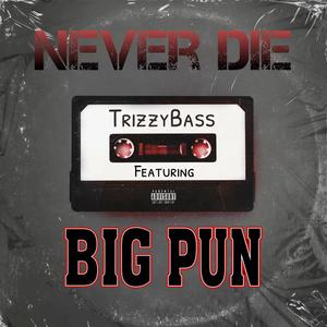 Never Die (feat. Big Punisher) [Explicit]