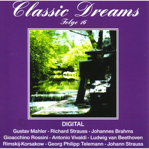 Der Titan, Sinfonie Nr. 1, D-Dur - II. Kräftig bewegt