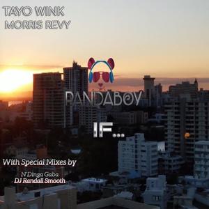 IF... (Randall Smooth Chinolasoul Mix)