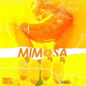 Mimosas (Explicit)