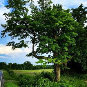 in my bag (Explicit)