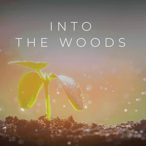 Into The Woods (feat. ATLYS)