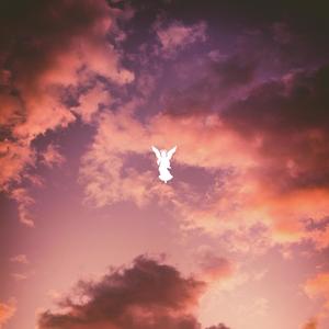 ANGEL (Explicit)