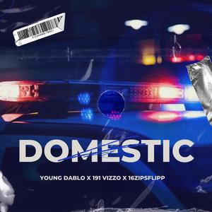Domestic (feat. 191 Vizzo & 16Zipsflipp) [Explicit]