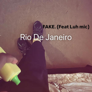 Fake (feat. Luh mic)