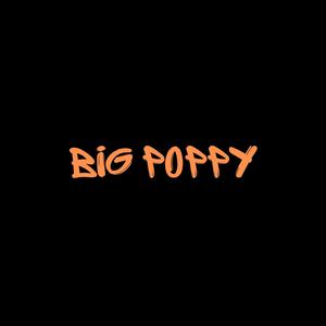 BIG POPPY (feat. DMG POPPY) [Explicit]