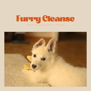 Furry Cleanse