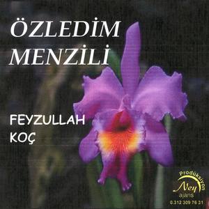 Özledim Menzili
