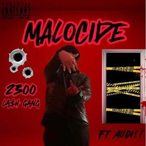 Malocide (feat. Audi!) [Explicit]