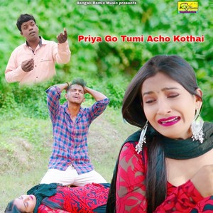 Priya Go Tumi Acho Kothai