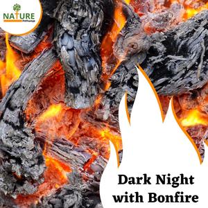 Inspirational Ocean View