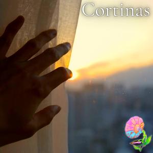 Cortinas