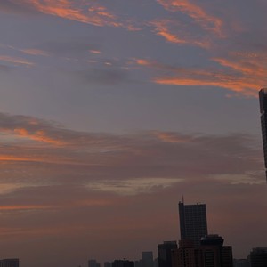 昨天，无脚鸟还没飞出东逸花园