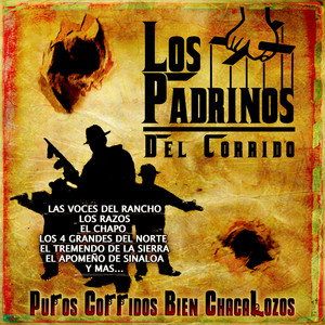 Los Padrinos del Corrido