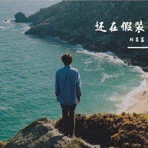 还在假装 (Remix)封面