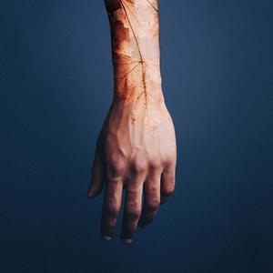 From the air(feat. Nora Toutain & Melissa Pacifico)