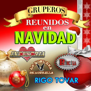 Gruperos Reunidos En Navidad