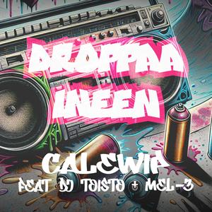 Droppaa Ineen (feat. DJ Toisto & DJ Mel-3) (Explicit)