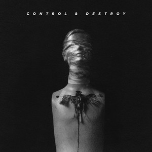 Control & Destroy (Explicit)