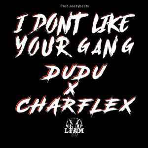 I Don't Like Your Gang (Explicit)