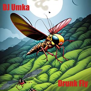 Drunk Fly (Mastering Rework 2023)