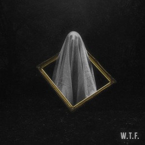 W.T.F.