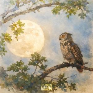 Sinceramente (feat. 1dvmi) (Explicit)