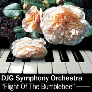 Flight Of The Bumblebee (大黄蜂的飞行)