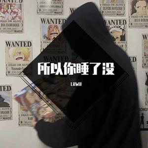 随身汀封面
