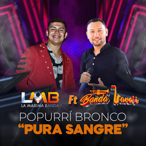 Popurrí Bronco Pura Sangre