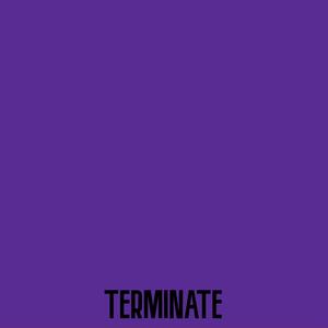 TERMINATE