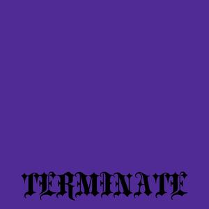 TERMINATE