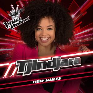 New Rules (The Voice Of Holland Season 8)