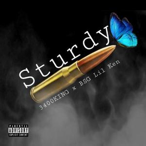 STURDY (feat. BSG LIL KEN) (Explicit)