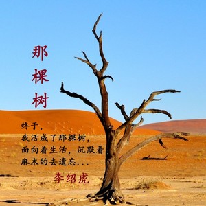 那棵树