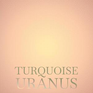 Turquoise Uranus