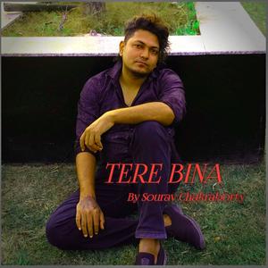 TERE BINA