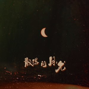 散落的月光