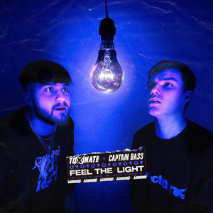 Feel The Light