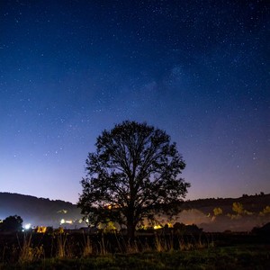 Relaja una ola - Ritmos Para Vibraciones Nocturnas Tranquilas