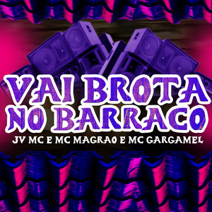 Vai Brotar no Barraco (Explicit)