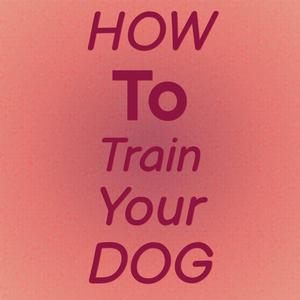 How To Train Your Dog