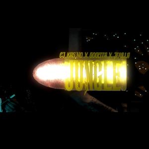 Jungle (feat. Lilcjkacino & Jtrilla) (Explicit)