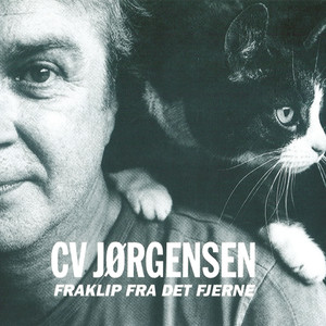 Dagdriverdrømme