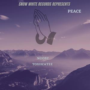 Peace (feat. Toxicatee)