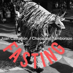 La iguana que baja de mi pensamiento hasta los pies