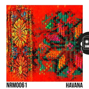 Havana (AOTA Remix)