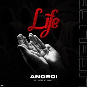Life (Explicit)